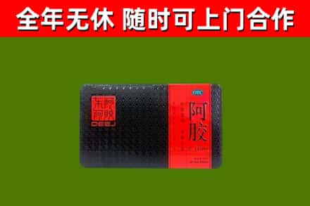 西区烟酒回收阿胶.jpg